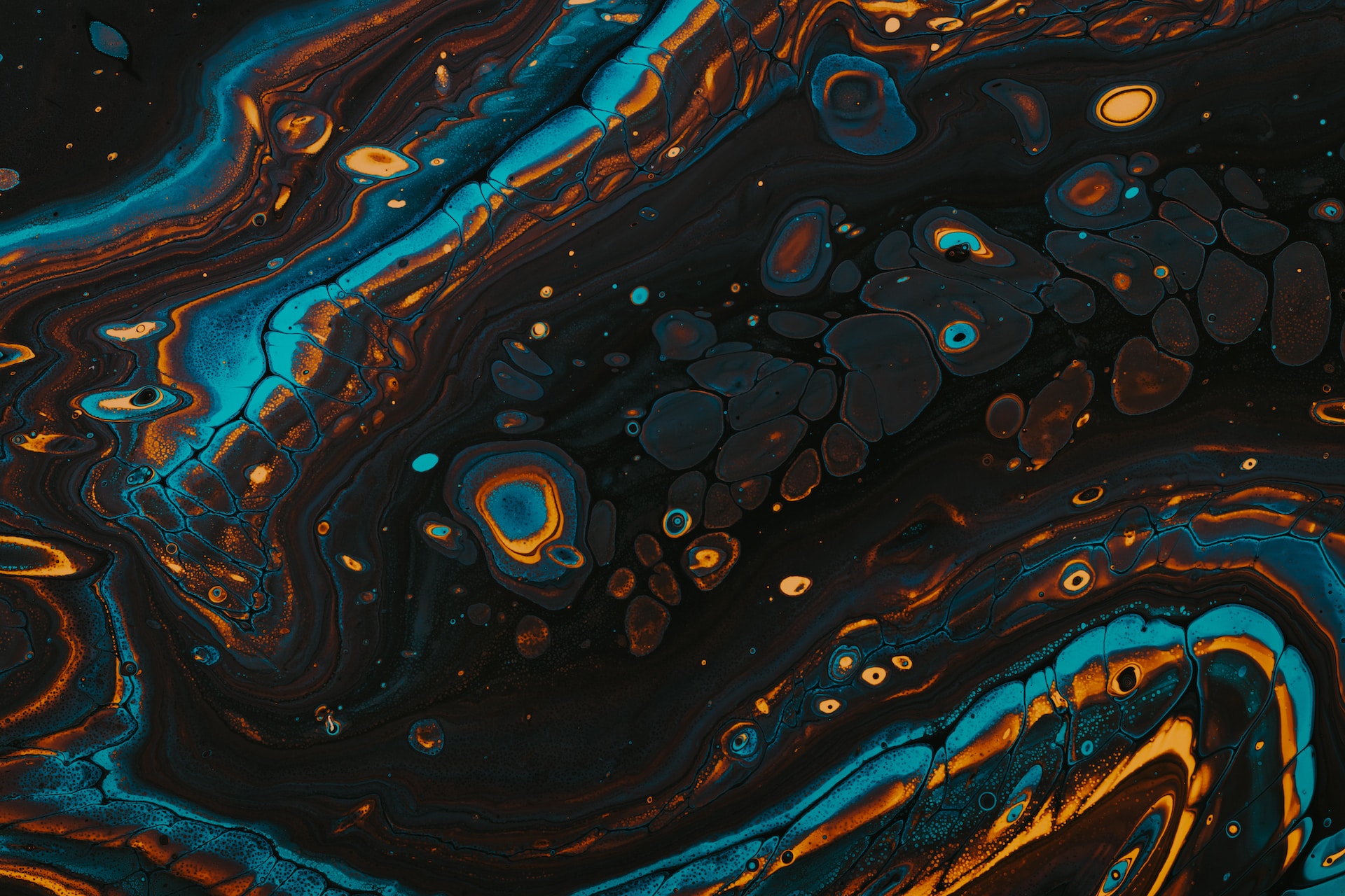 The Future of Web Development: AI and the Web Developer's Role