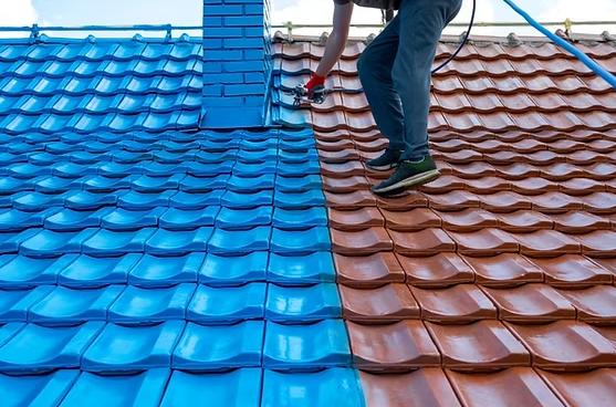 Why Should You Consider Roof Painting?