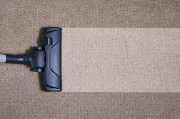 How Often Should You Get Your Carpets Steam Cleaned on the Sunshine Coast?