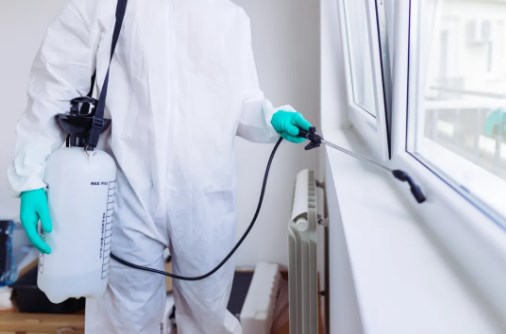 Reliable Pest Control in Richmond – Murphy’s Pest Management