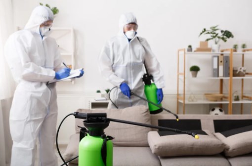 Bligh Park Pest Control Solutions Protecting Homes with Murphy’s Pest Management