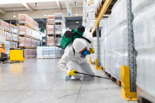 Trusted Pest Control in Blue Mountains – Murphy’s Pest Management Experts