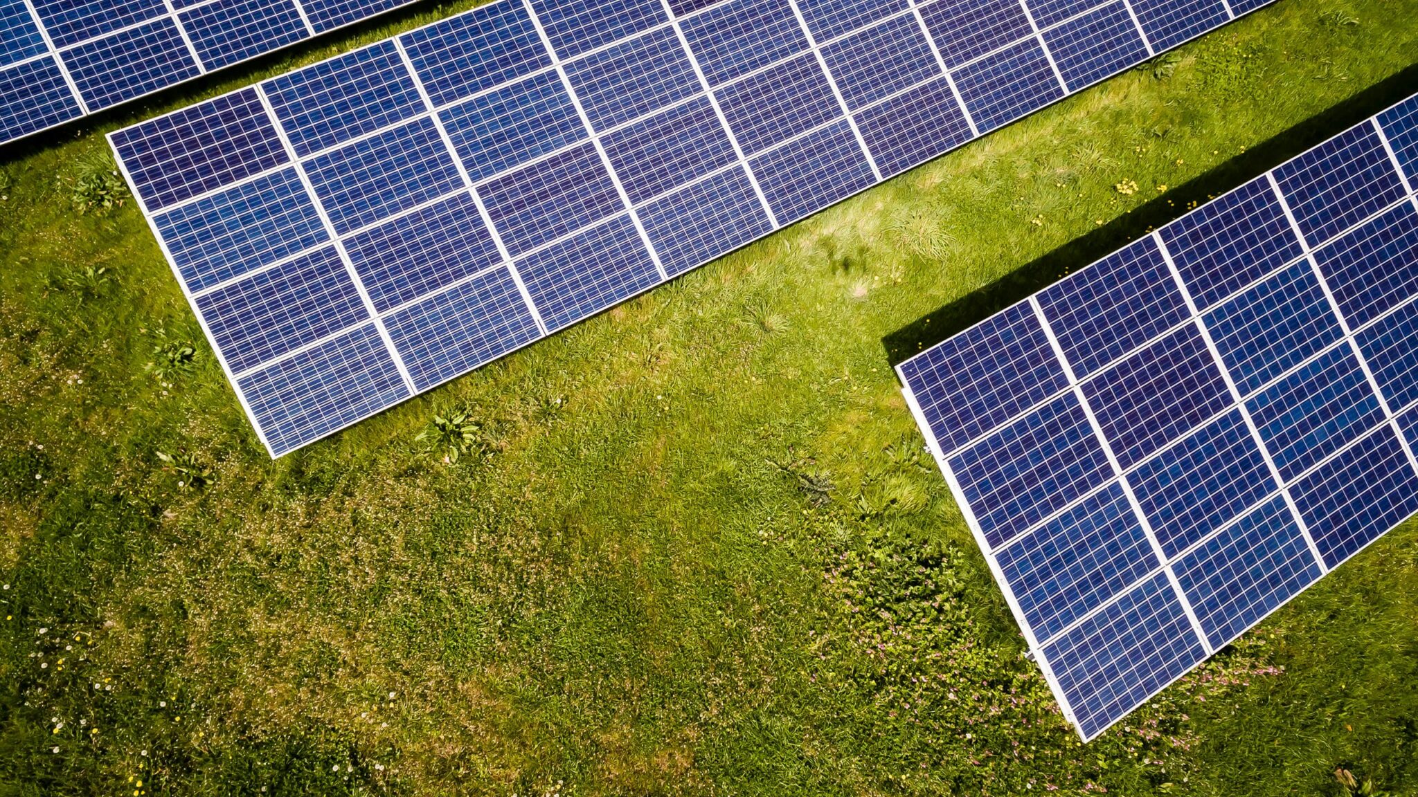 5 Best Solar Lead Generation Companies: Complete Guide