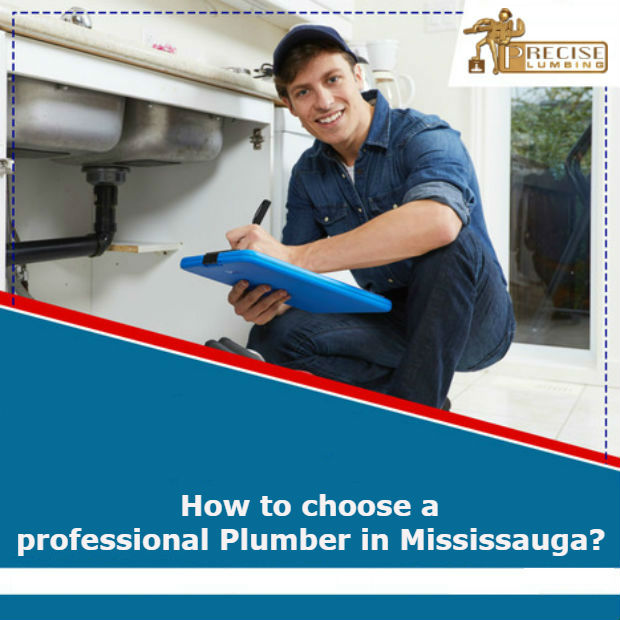 Professional Plumber in Mississauga