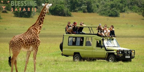 The best travel packages for the people who love to explore adventure