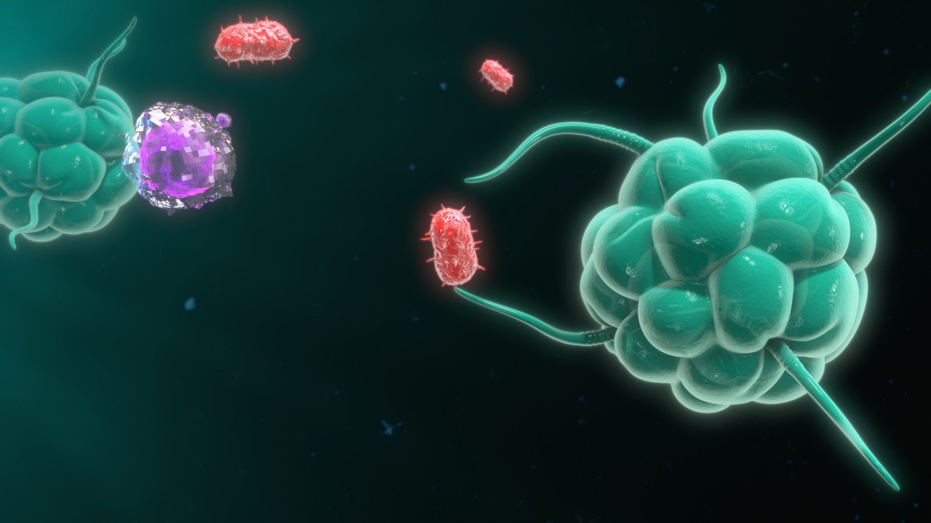 The Global Anti CD47 Drugs Market is Estimated to Witness High Growth Due to Rising Cancer Cases