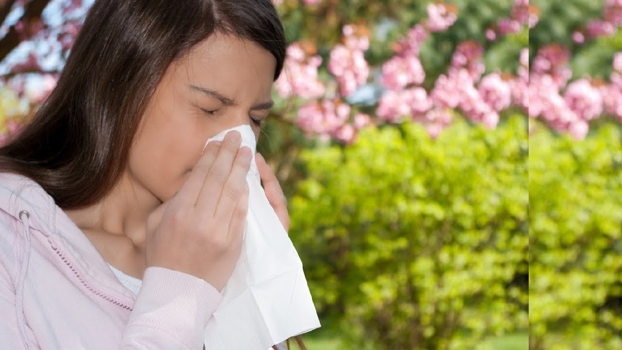 Seasonal Allergic Rhinitis Market to Expand Due to Rising Allergy Incidence