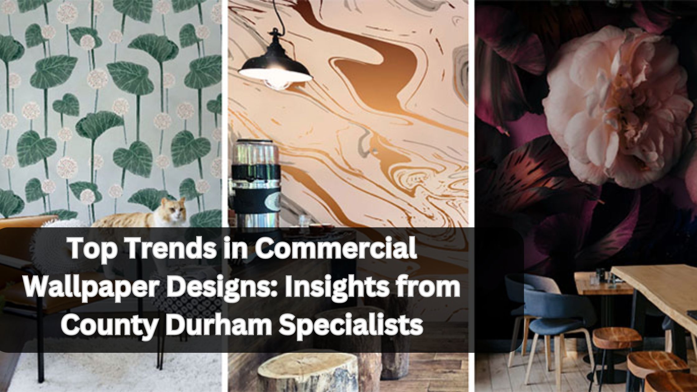 Top Trends in Commercial Wallpaper Designs: Insights from County Durham Specialists