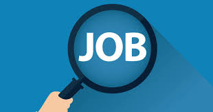 Exploring Jobs and Career Paths: A Comprehensive Guide
