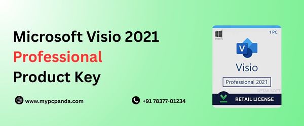 MS Visio 2021 Professional Product Key
