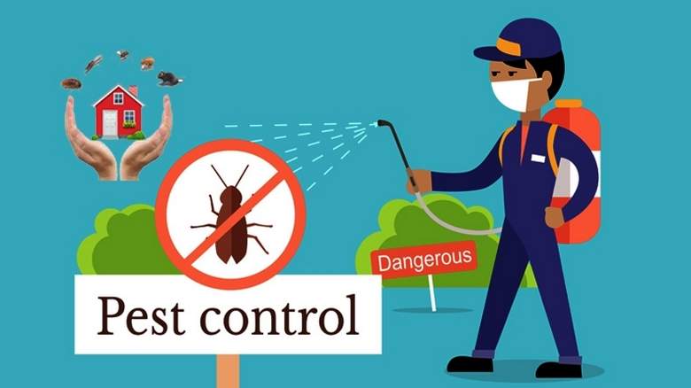 Pest Control NYC
