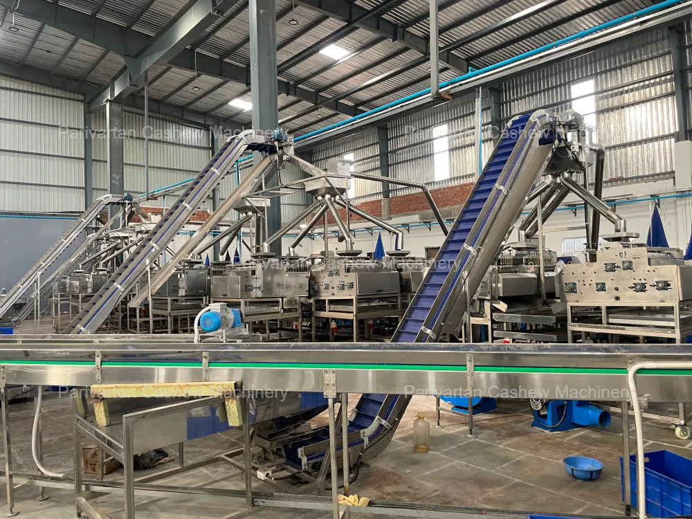 Cashew Nut Processing Machine: A Complete Guide to Modern Cashew Processing