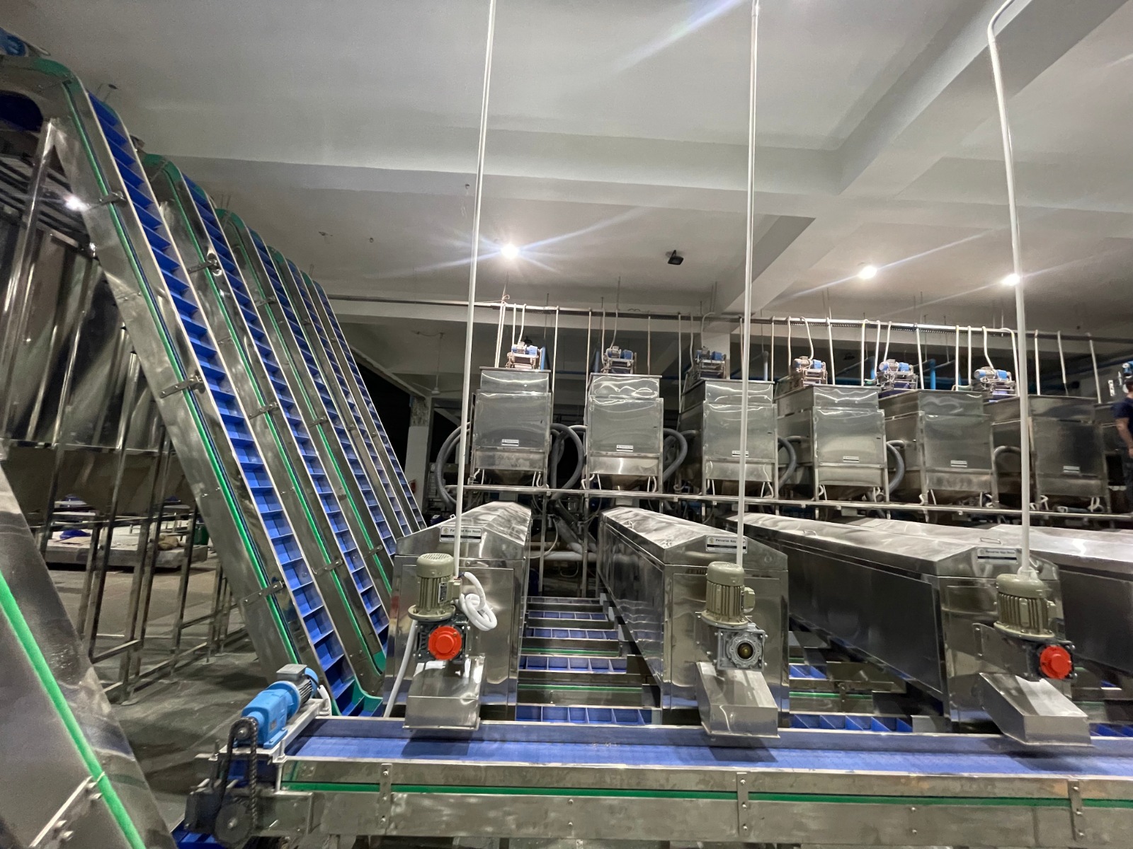 Smart Cashew Peeling Machine Solutions for Efficient Processing Lines