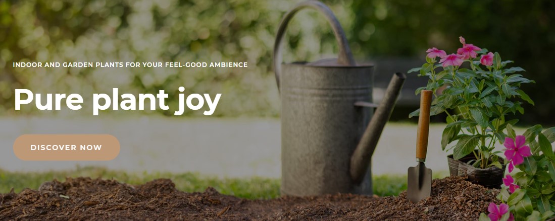 Gartenpflanzen für Anfänger: Ein Leitfaden