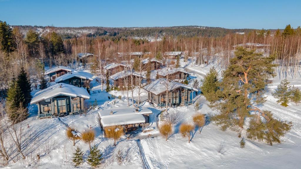 Best Times to Experience Luxury in Finland: Seasonal Highlights