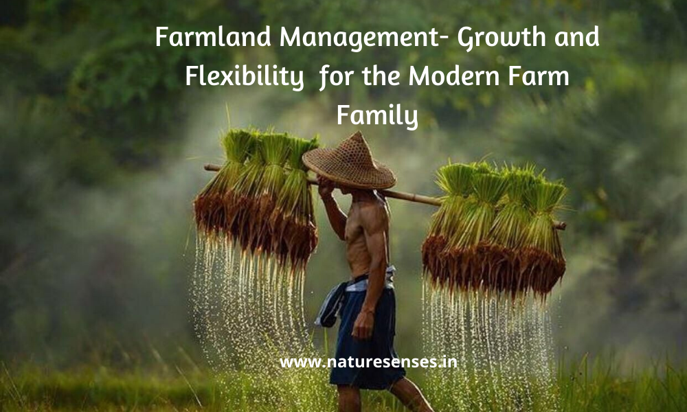 Farmland Management