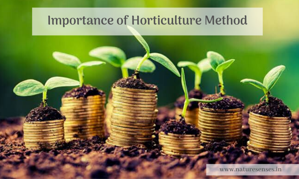 Importance of Horticulture Method