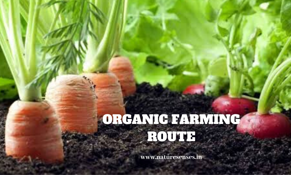 Organic Farming Route