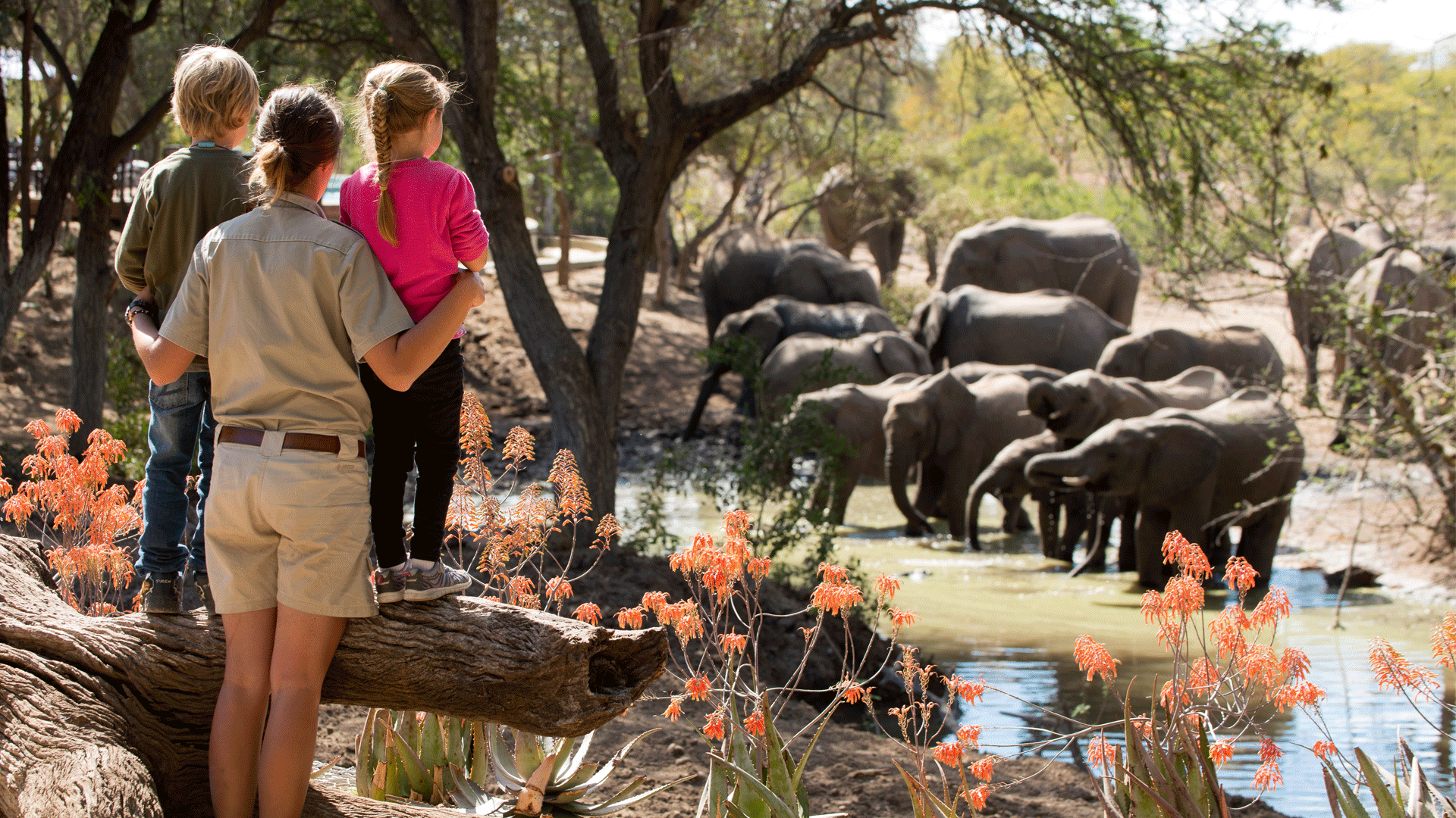 Create Lifelong Memories on an Unforgettable African Journey
