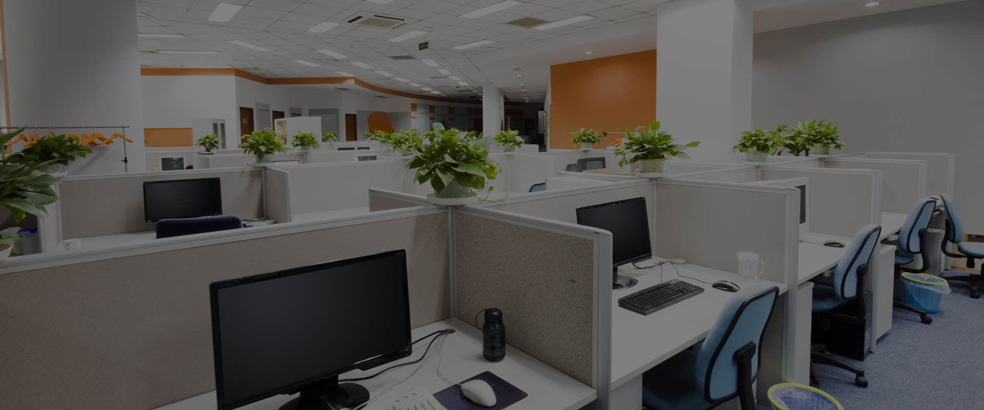 Leading Digital Marketing Agency In Australia
