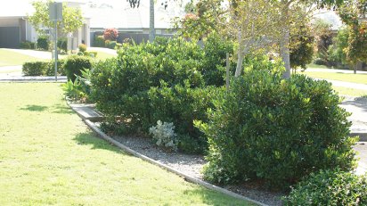 Best Lawn Mowing in Melton West