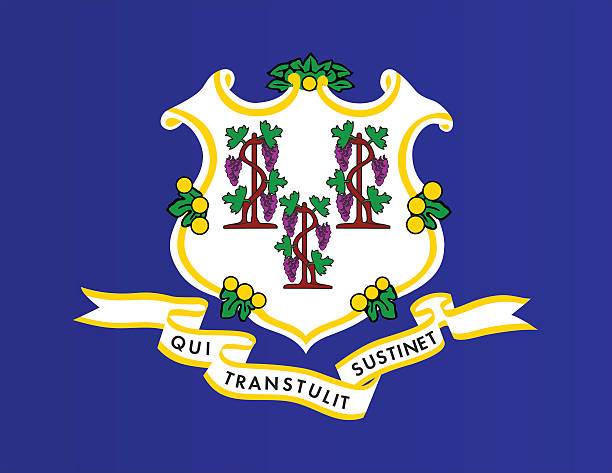 A Guide to Connecticut License Plate Search for Accurate Vehicle Information