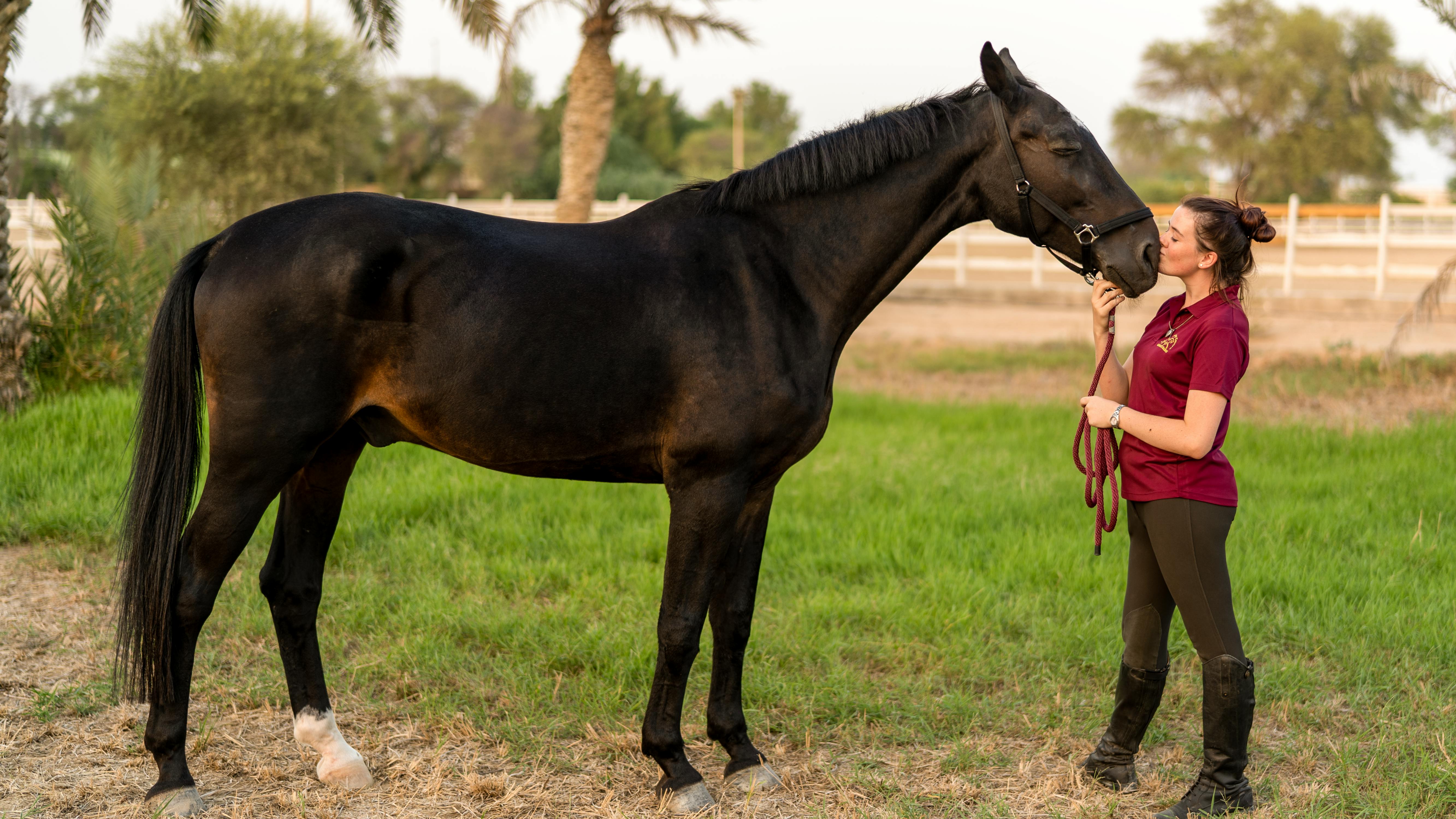 The Beautiful Horse: A Bond Beyond Words