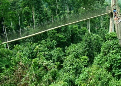 Kakum National Park (Cape Coast) – Ghana Tourist Guide