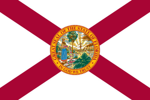 Florida License Plate Search: The Ultimate licenselookup Guide