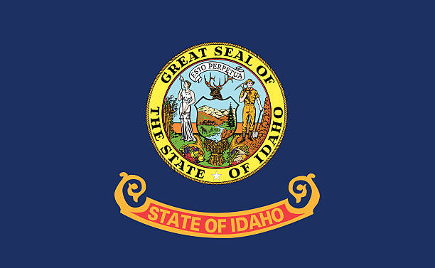 Understanding the Benefits of Idaho License Plate Search