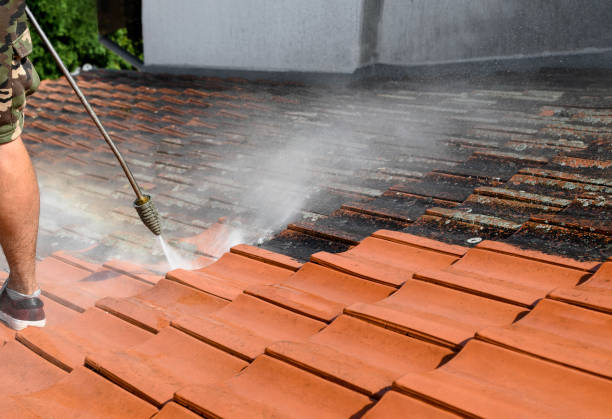 Why Regular Roof Cleaning is Essential for Your Home’s Health