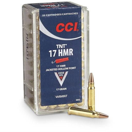 Why is it a Good Choice to Purchase Ammo Online