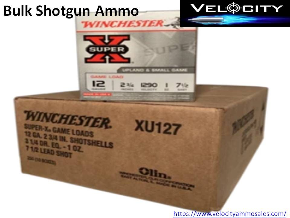 How to Find the Right Ammo for Different Purposes