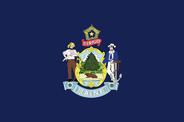 License Plate Search: Simplifying Vehicle Identification in Maine