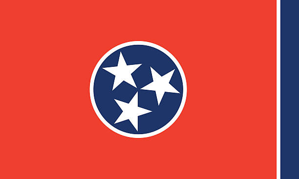 The Importance of License Plate Search in Tennessee for Vehicle Integrity