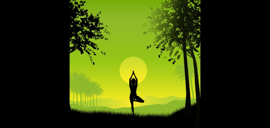 What is the importance of yoga in our daily life?