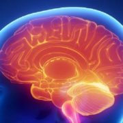 Innovation is Now – Robots Can Perform a Complete Brain Surgery in 2.5 Minutes
