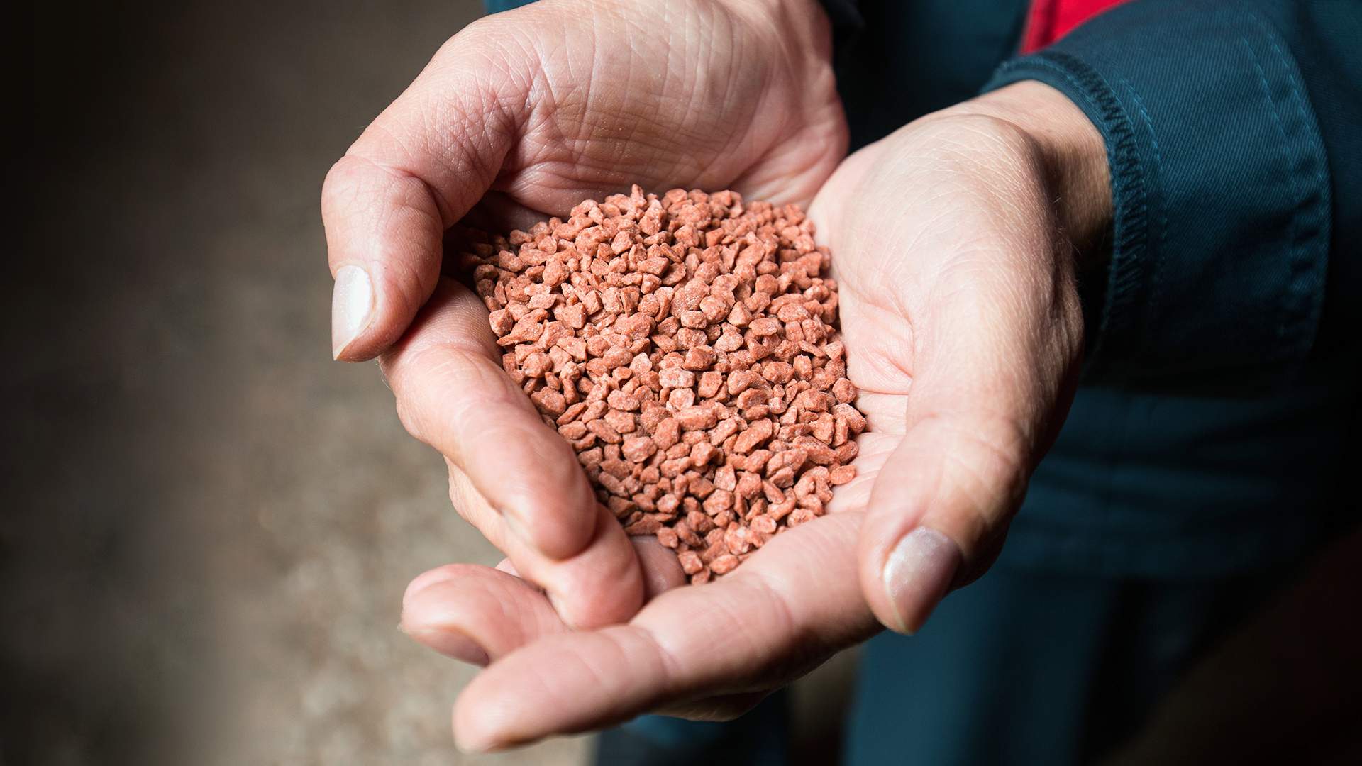 Potash Fertilizers: Essential for Plant Growth and Quality Food Production