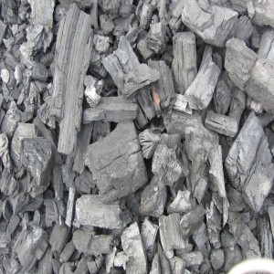 White Coal: An Alternative Clean Energy Source 