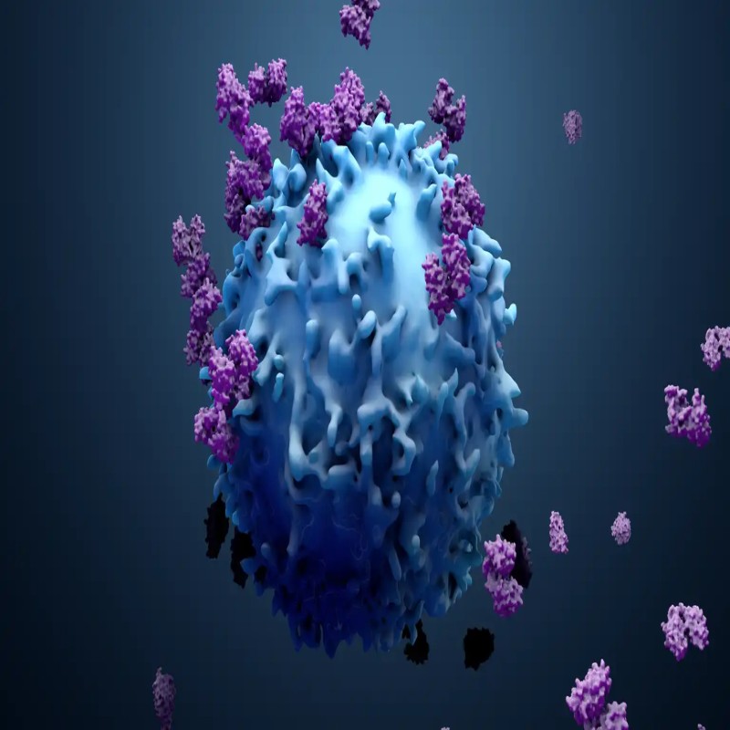 Cancer Cell: Unraveling the Complex Behaviors of Carcinomas New Insights from Recent Research