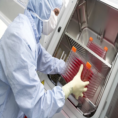 Human Embryonic Stem Cells: Understanding Key Factors in Somatic stem Development In Industry