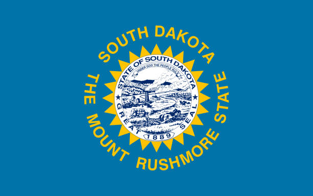 South Dakota License Plate Search: How to Access Vehicle History and More