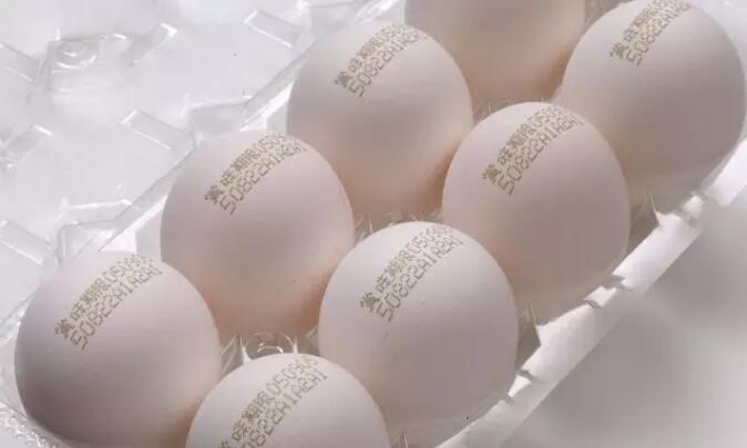 Application of small character inkjet printer in egg identification and marking industry