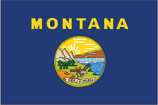 Montana License Plate Search: Your Complete Guide to Vehicle History