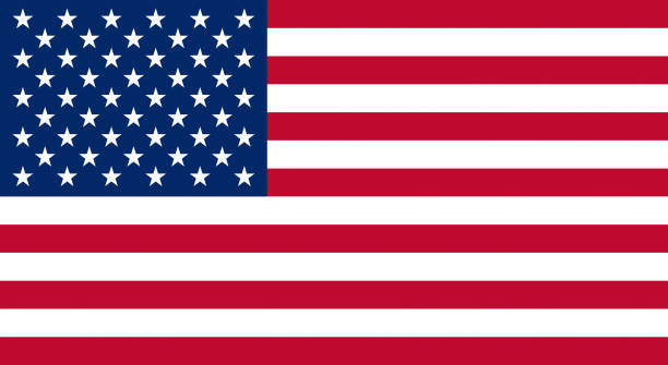 License Plate Lookup in the USA: A Complete Resource for 2023