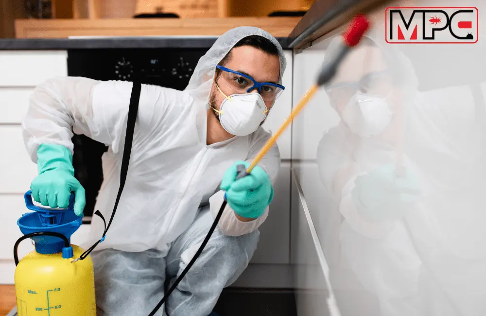 How To Get Rid of Mosquitos: Natural and Chemical Solutions