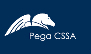 What is PEGA Case Management?