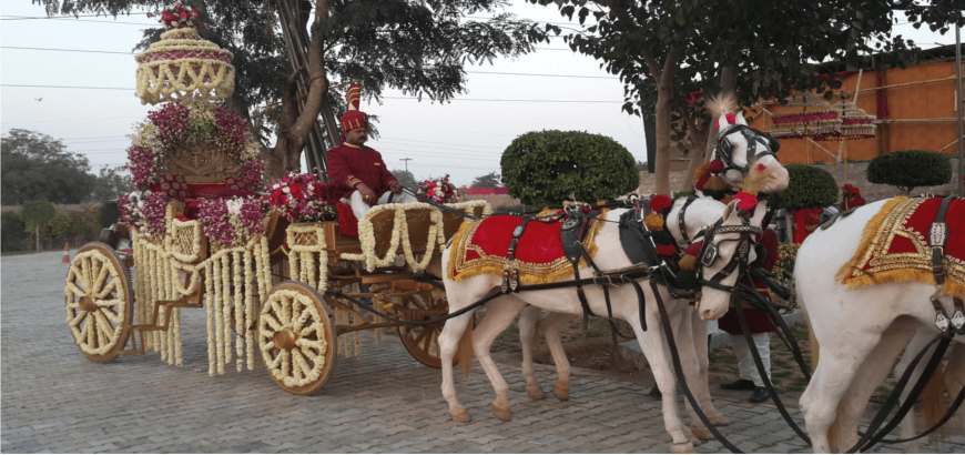 Why Delhi Wedding Bands Are the Heartbeat of Indian Weddings