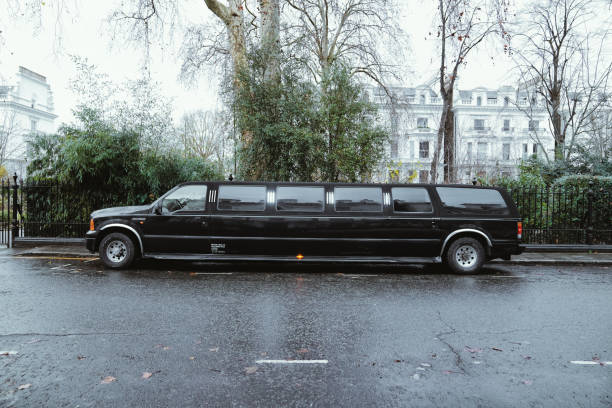Executive Limo Vans: The Ultimate Solution for VIP Business Transport