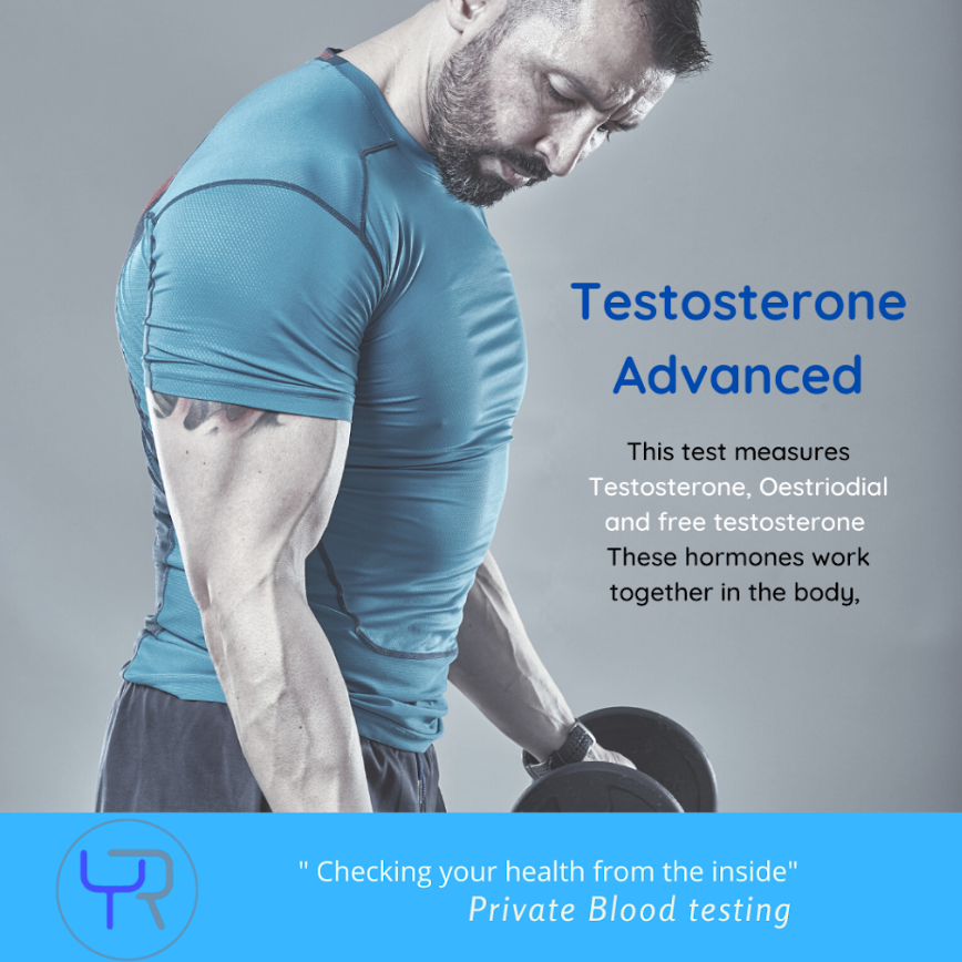 Why You Should Consider the DHT Blood Test for Optimal Health